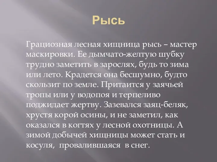 Рысь Грациозная лесная хищница рысь – мастер маскировки. Ее дымчато-желтую шубку трудно