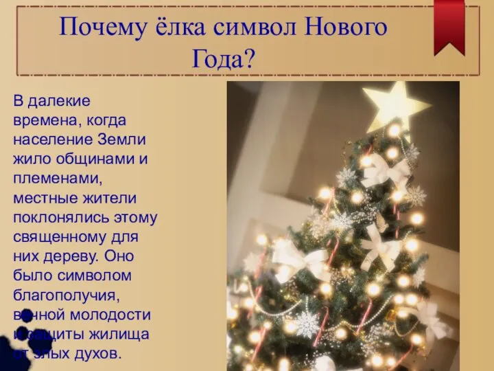 Почему ёлка символ Нового Года? В далекие времена, когда население Земли жило