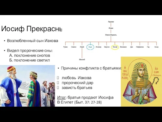 Иосиф Прекрасный Возлюбленный сын Иакова Видел пророческие сны: А. поклонение снопов Б.