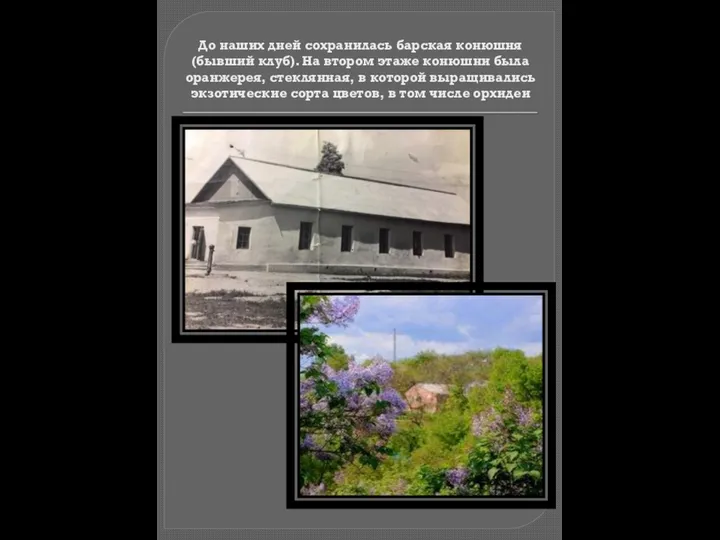 До наших дней сохранилась барская конюшня (бывший клуб). На втором этаже конюшни