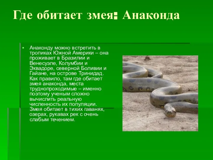 Где обитает змея: Анаконда Анаконду можно встретить в тропиках Южной Америки –