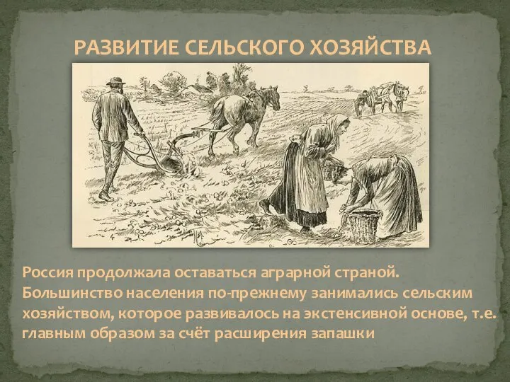 РАЗВИТИЕ СЕЛЬСКОГО ХОЗЯЙСТВА Россия продолжала оставаться аграрной страной. Большинство населения по-прежнему занимались