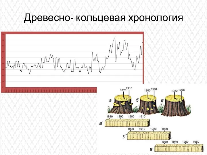 Древесно- кольцевая хронология