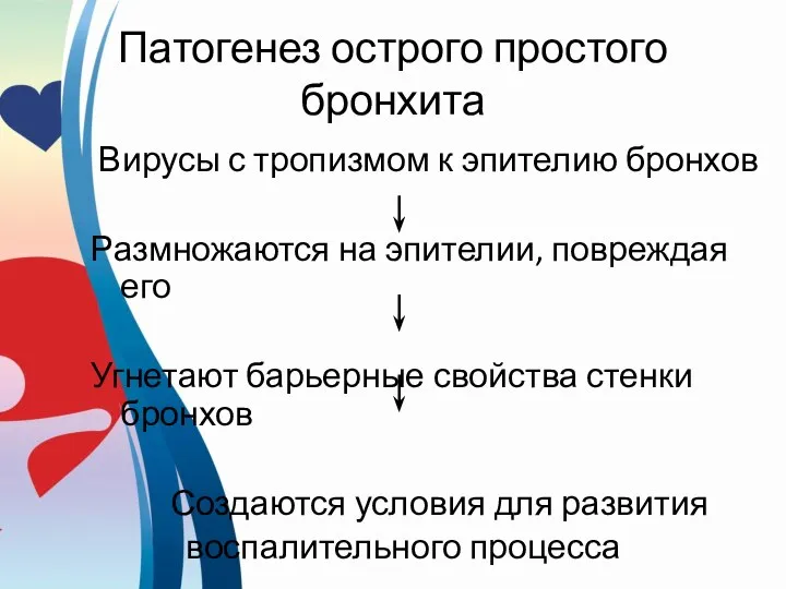 Патогенез острого простого бронхита Вирусы с тропизмом к эпителию бронхов Размножаются на