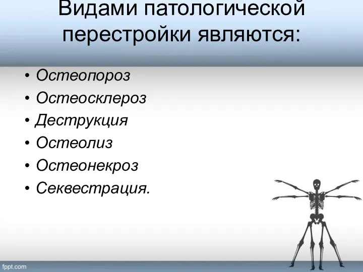 Видами патологической перестройки являются: Остеопороз Остеосклероз Деструкция Остеолиз Остеонекроз Секвестрация.