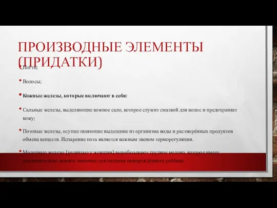 ПРОИЗВОДНЫЕ ЭЛЕМЕНТЫ (ПРИДАТКИ) Ногти; Волосы; Кожные железы, которые включают в себя: Сальные