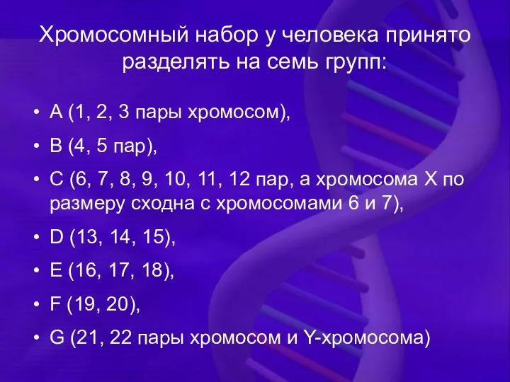 Хромосомный набор у человека принято разделять на семь групп: А (1, 2,