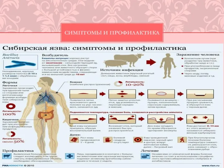 СИМПТОМЫ И ПРОФИЛАКТИКА