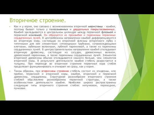 Вторичное строение. Как и у корня, оно связано с возникновением вторичной меристемы