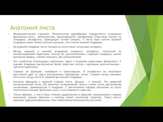 Анатомия листа Микроскопическое строение. Относительно однообразно, определяется основными функциями листа - фотосинтезом,