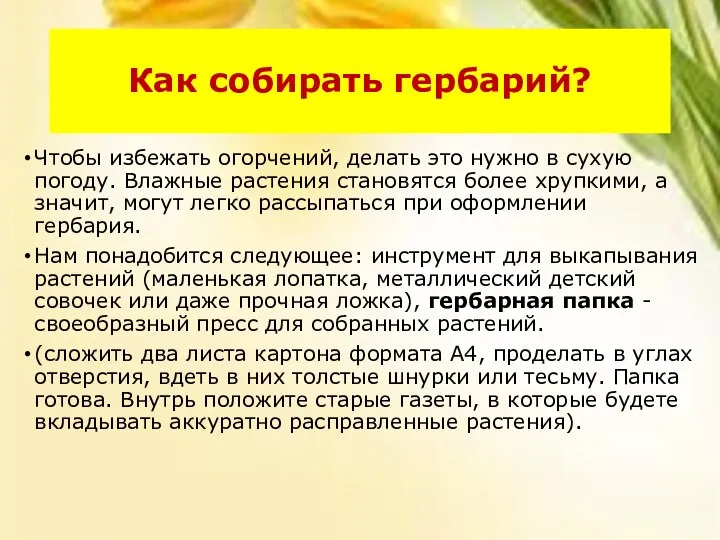 Как собирать гербарий? Чтобы избежать огорчений, делать это нужно в сухую погоду.