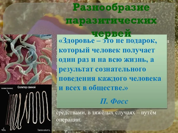 Более 7000 видов сосальщиков и 3000 видов ленточных червей – опасные паразиты