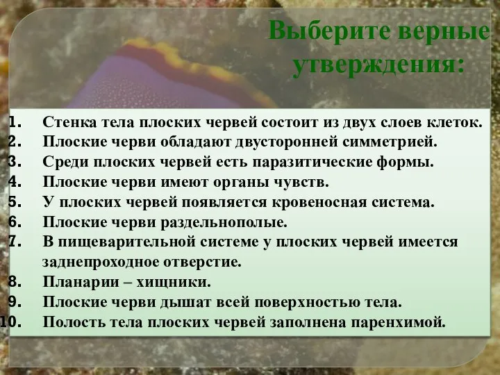 Стенка тела плоских червей состоит из двух слоев клеток. Плоские черви обладают