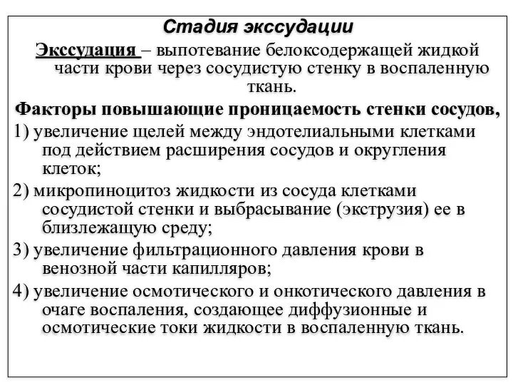 Стадия экссудации Экссудация – выпотевание белоксодержащей жидкой части крови через сосудистую стенку