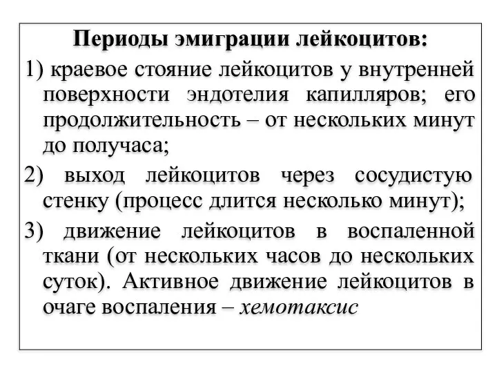 Периоды эмиграции лейкоцитов: 1) краевое стояние лейкоцитов у внутренней поверхности эндотелия капилляров;