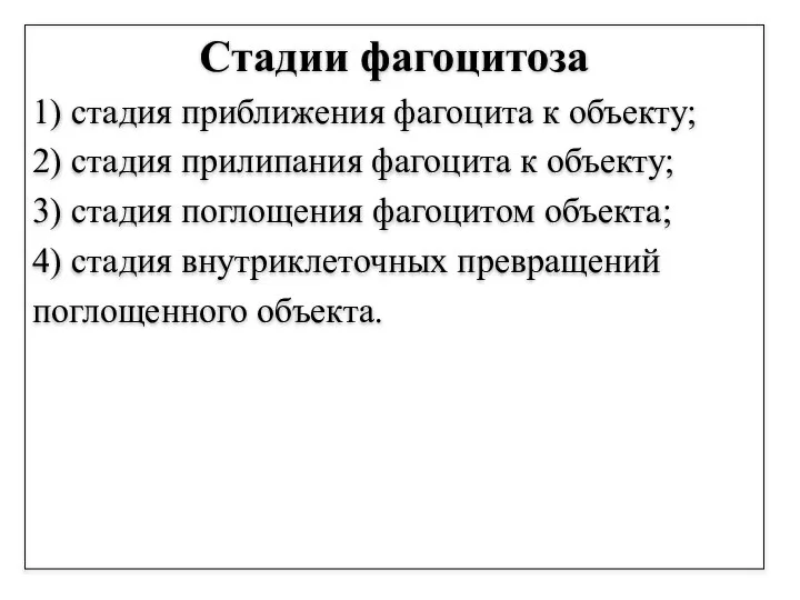 Стадии фагоцитоза 1) стадия приближения фагоцита к объекту; 2) стадия прилипания фагоцита