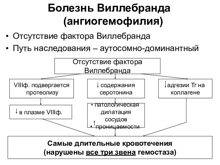 Болезнь Виллебранда (ангиогемофилия) Отсутствие фактора Виллебранда Путь наследования – аутосомно-доминантный Отсутствие фактора