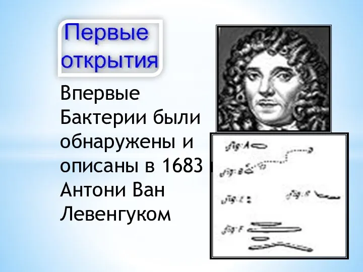 Впервые Бактерии были обнаружены и описаны в 1683 г . Антони Ван Левенгуком