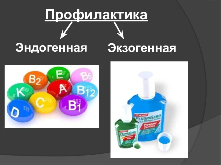 Профилактика Эндогенная Экзогенная