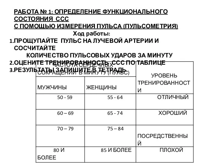 РАБОТА № 1: ОПРЕДЕЛЕНИЕ ФУНКЦИОНАЛЬНОГО СОСТОЯНИЯ ССС С ПОМОЩЬЮ ИЗМЕРЕНИЯ ПУЛЬСА (ПУЛЬСОМЕТРИЯ)