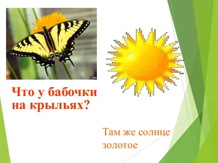 Там же солнце золотое Что у бабочки на крыльях?