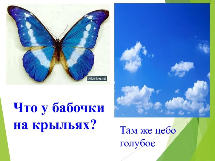 Там же небо голубое Что у бабочки на крыльях?