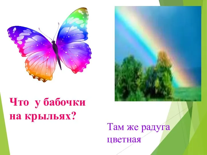 Там же радуга цветная Что у бабочки на крыльях?