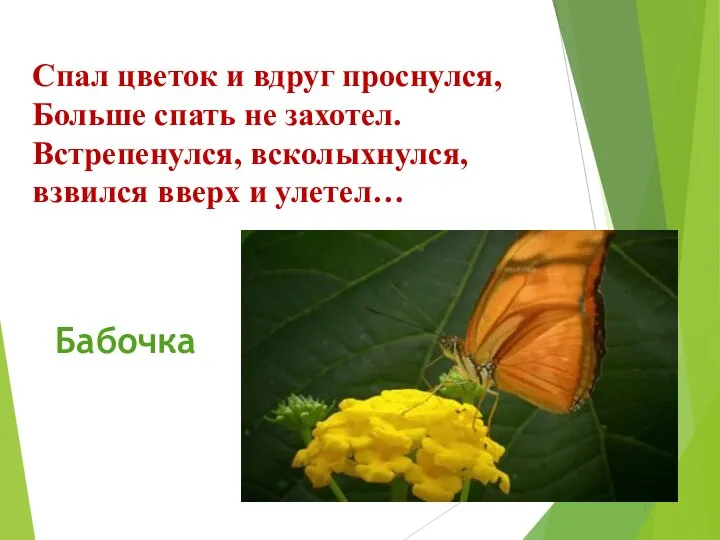 Спал цветок и вдруг проснулся, Больше спать не захотел. Встрепенулся, всколыхнулся, взвился вверх и улетел… Бабочка