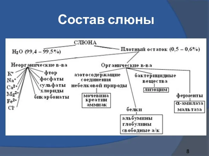 Состав слюны