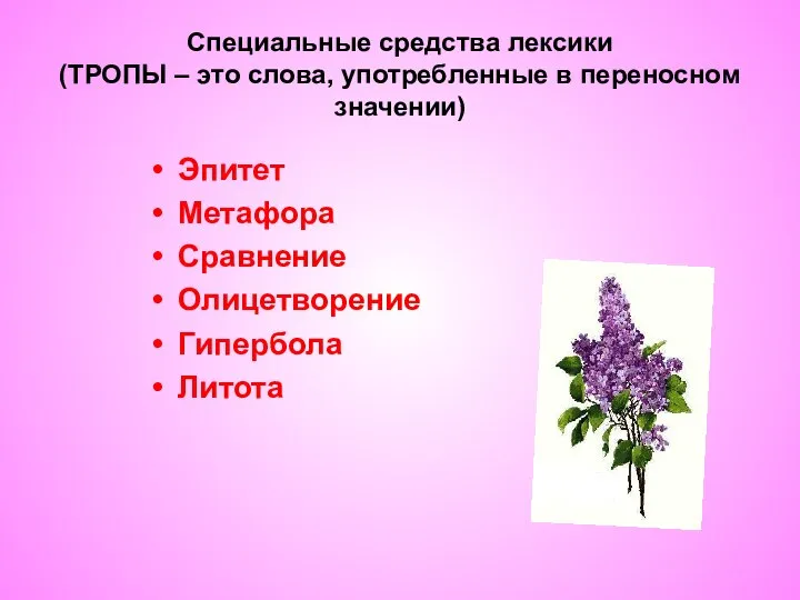 Специальные средства лексики (ТРОПЫ – это слова, употребленные в переносном значении) Эпитет