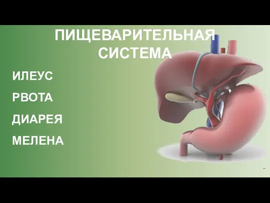 ПИЩЕВАРИТЕЛЬНАЯ СИСТЕМА ИЛЕУС РВОТА ДИАРЕЯ МЕЛЕНА