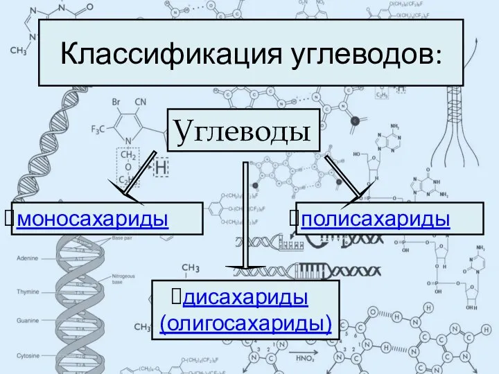 Классификация углеводов: Углеводы моносахариды дисахариды (олигосахариды) полисахариды