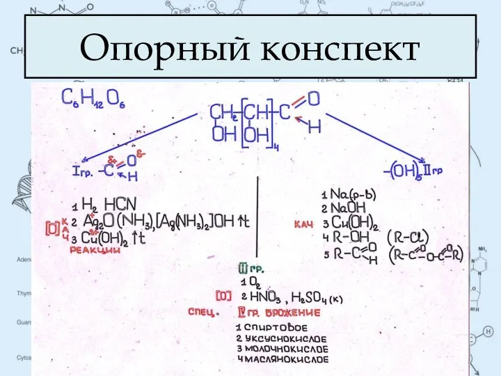 Опорный конспект