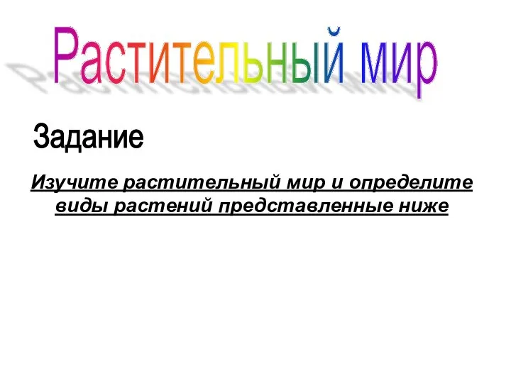 Изучите растительный мир и определите виды растений представленные ниже Растительный мир Задание