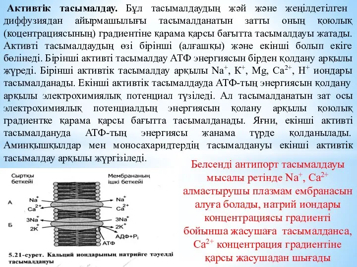 Активтік тасымалдау. Бұл тасымалдаудың жәй және жеңілдетілген диффузиядан айырмашылығы тасымалданатын затты оның