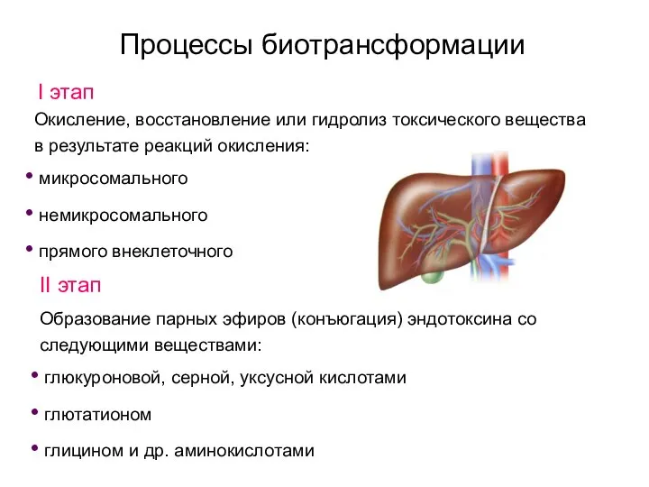 Процессы биотрансформации I этап Окисление, восстановление или гидролиз токсического вещества в результате