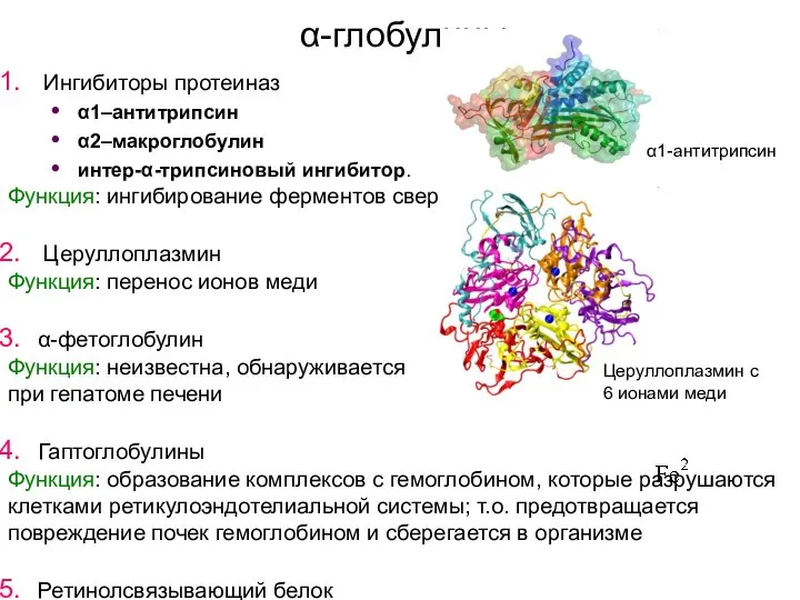 α-глобулины Ингибиторы протеиназ α1–антитрипсин α2–макроглобулин интер-α-трипсиновый ингибитор. Функция: ингибирование ферментов свертывания крови