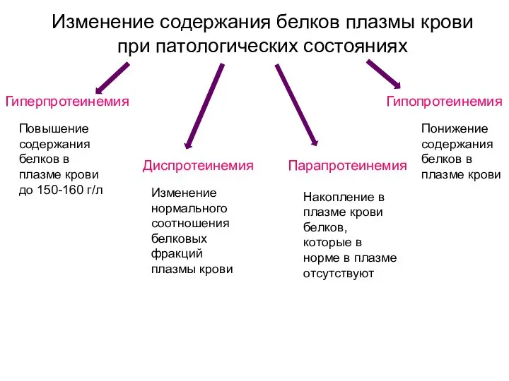 Изменение содержания белков плазмы крови при патологических состояниях Гиперпротеинемия Гипопротеинемия Диспротеинемия Парапротеинемия