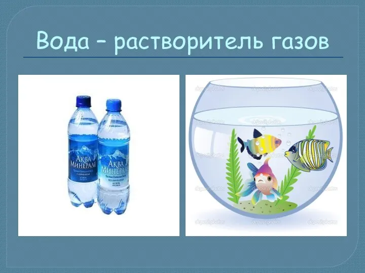 Вода – растворитель газов