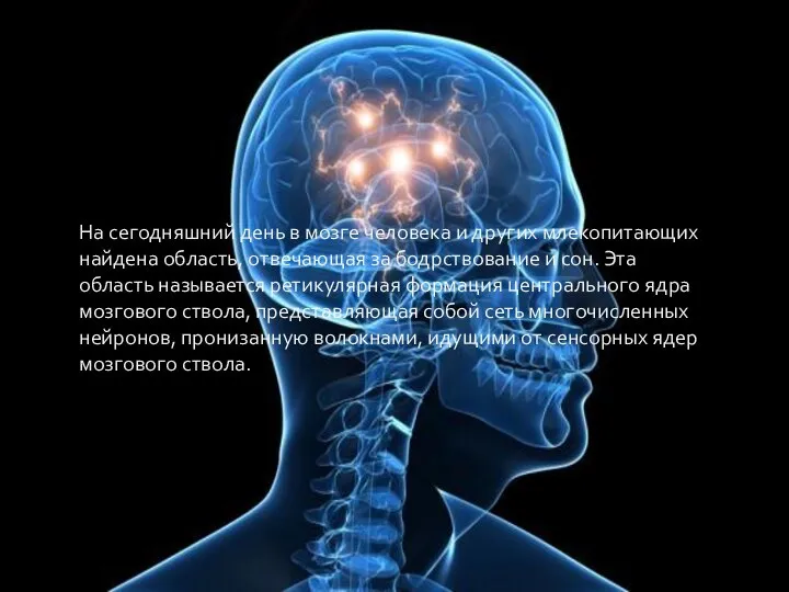 На сегодняшний день в мозге человека и других млекопитающих найдена область, отвечающая