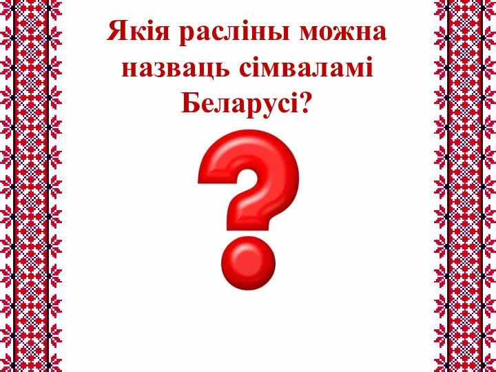 Якія расліны можна назваць сімваламі Беларусі?