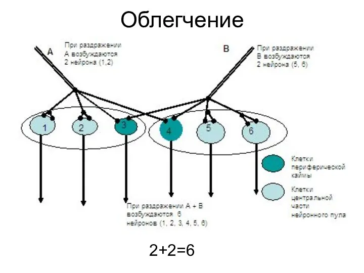 Облегчение 2+2=6