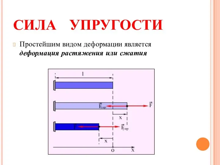 СИЛА УПРУГОСТИ Простейшим видом деформации является деформация растяжения или сжатия