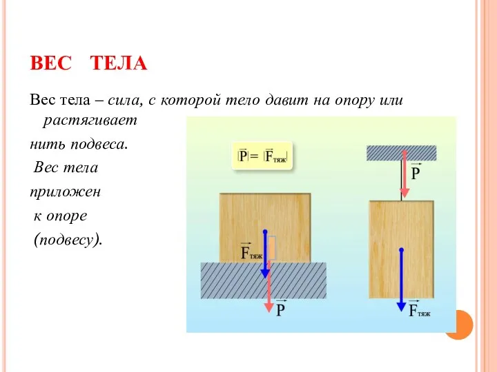 ВЕС ТЕЛА Вес тела – сила, с которой тело давит на опору