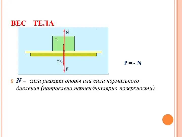 ВЕС ТЕЛА P = - N N – сила реакции опоры или