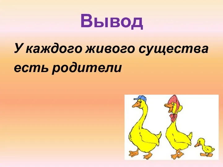 Вывод У каждого живого существа есть родители