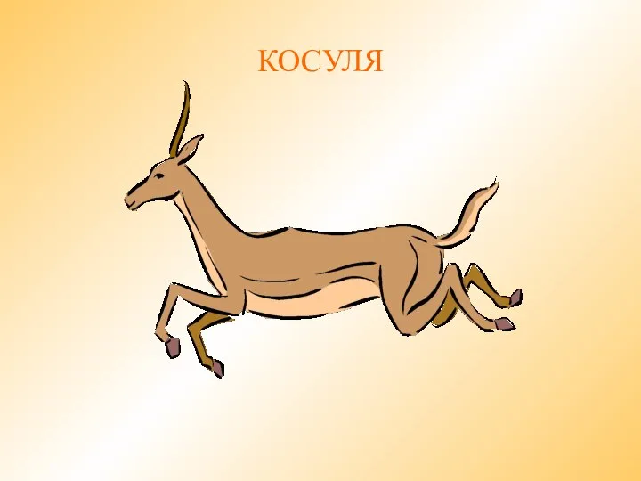 КОСУЛЯ