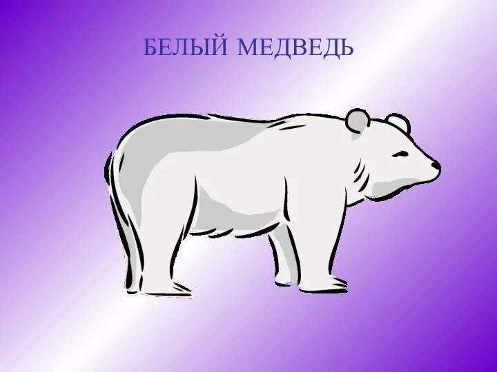 БЕЛЫЙ МЕДВЕДЬ