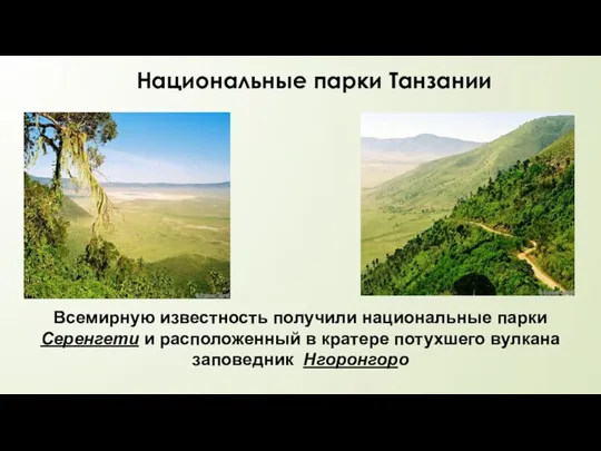 Национальные парки Танзании Всемирную известность получили национальные парки Серенгети и расположенный в