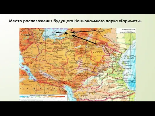 Место расположения будущего Национального парка «Таримети»